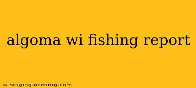 algoma wi fishing report