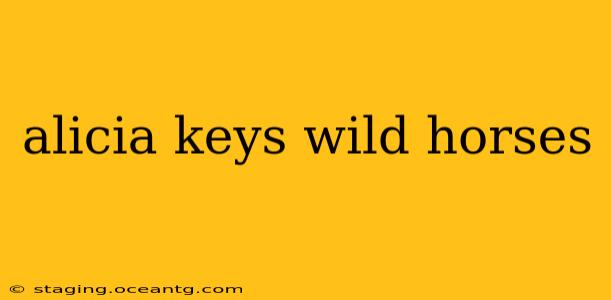 alicia keys wild horses