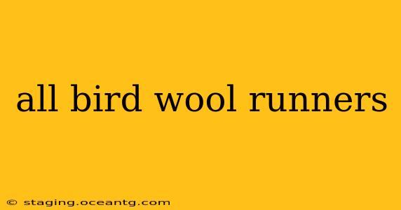 all bird wool runners