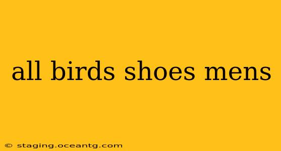 all birds shoes mens
