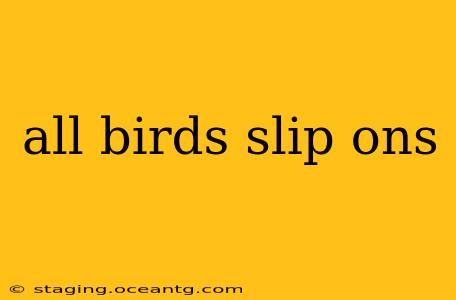all birds slip ons