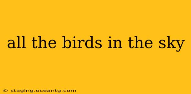 all the birds in the sky