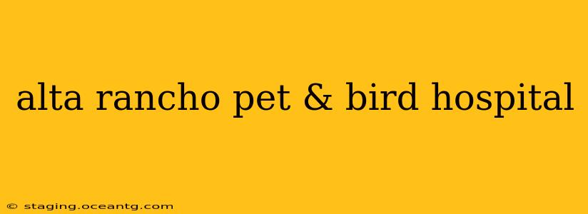 alta rancho pet & bird hospital