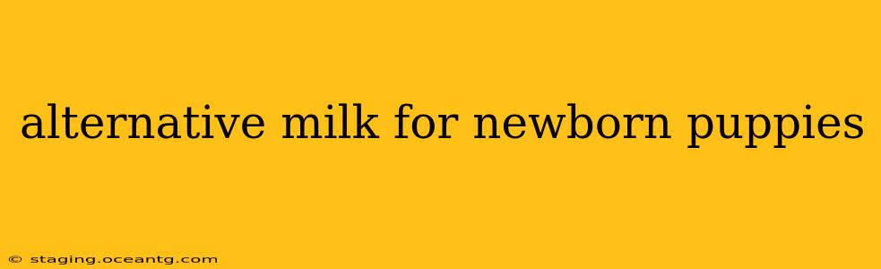alternative milk for newborn puppies