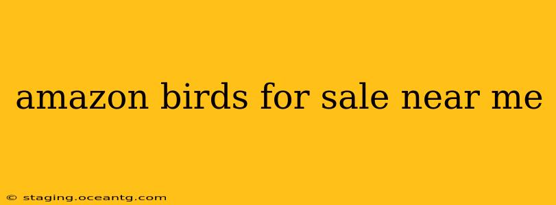 amazon birds for sale near me