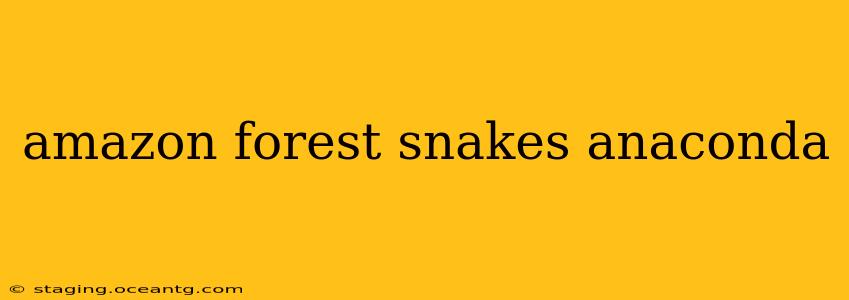 amazon forest snakes anaconda