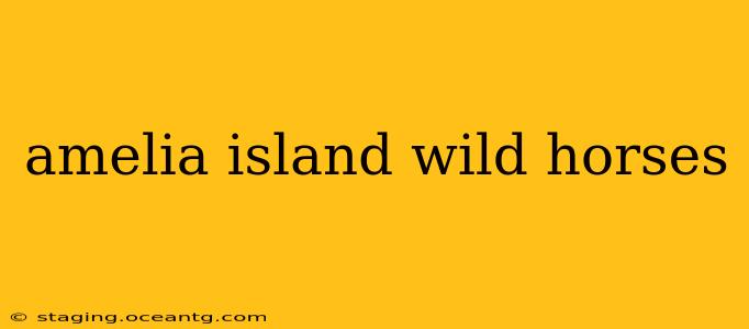 amelia island wild horses