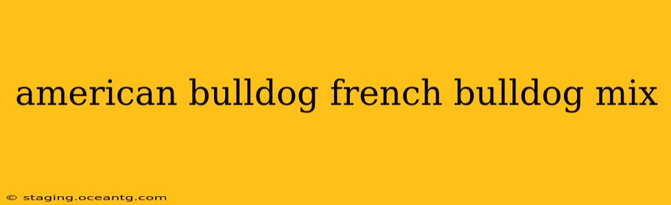 american bulldog french bulldog mix