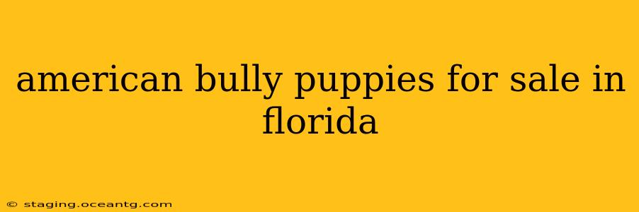 american bully puppies for sale in florida