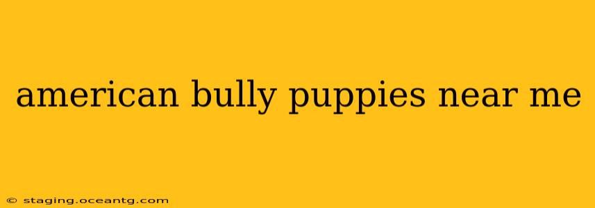 american bully puppies near me