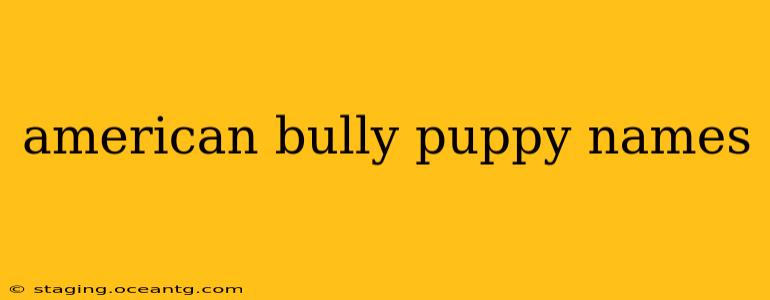 american bully puppy names