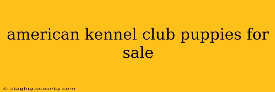 american kennel club puppies for sale