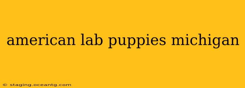 american lab puppies michigan