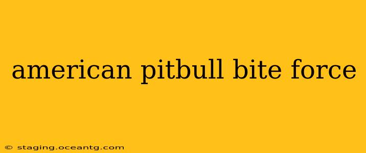 american pitbull bite force