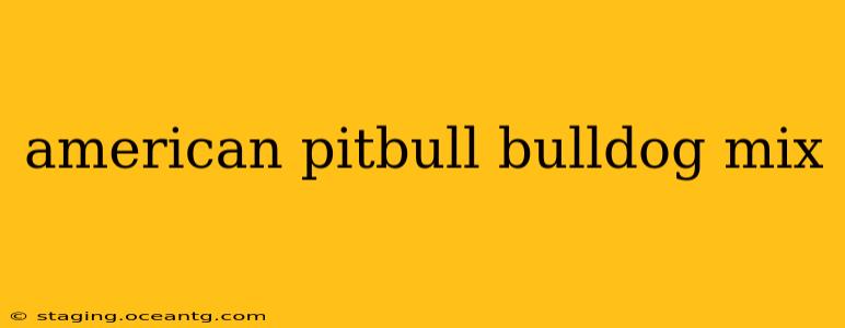 american pitbull bulldog mix