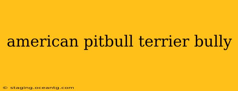 american pitbull terrier bully