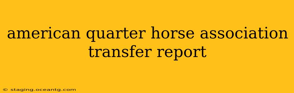 american quarter horse association transfer report