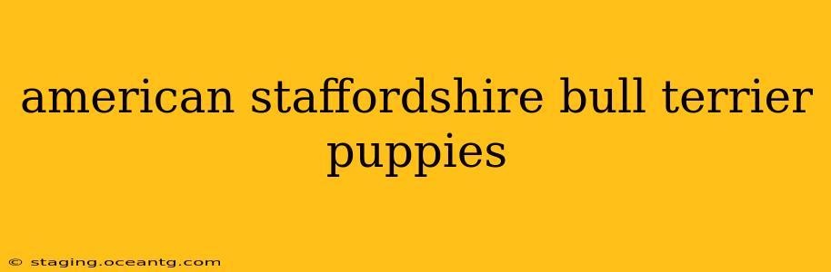 american staffordshire bull terrier puppies