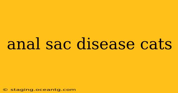 anal sac disease cats