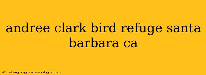 andree clark bird refuge santa barbara ca