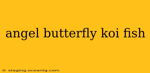 angel butterfly koi fish