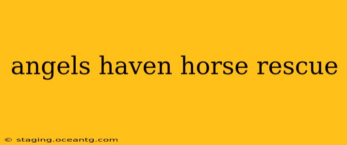 angels haven horse rescue