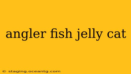 angler fish jelly cat