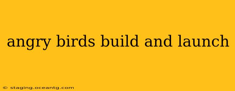 angry birds build and launch