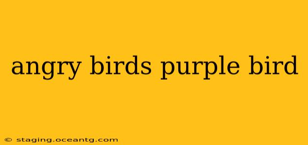 angry birds purple bird
