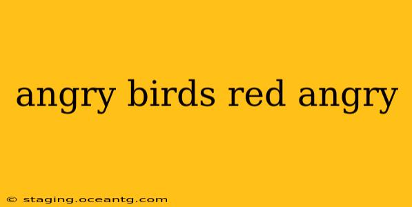 angry birds red angry