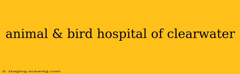 animal & bird hospital of clearwater