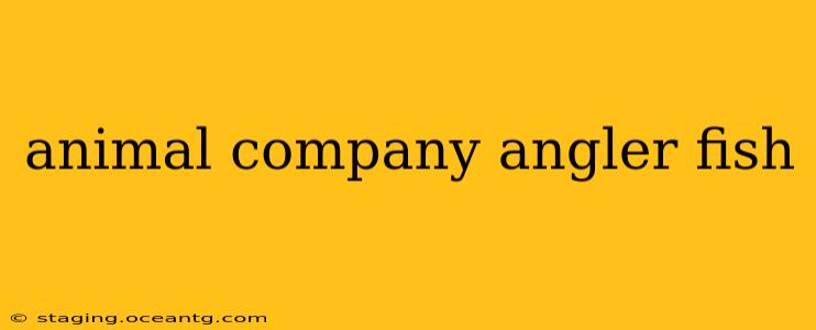 animal company angler fish