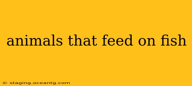 animals that feed on fish
