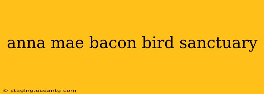 anna mae bacon bird sanctuary