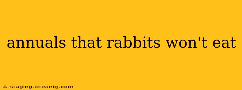 annuals that rabbits won't eat