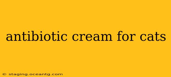 antibiotic cream for cats