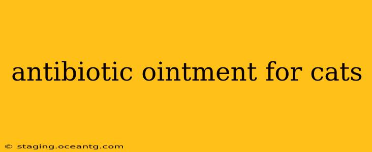 antibiotic ointment for cats