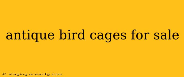 antique bird cages for sale