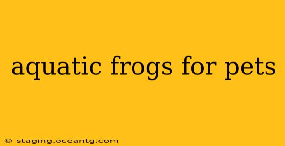 aquatic frogs for pets