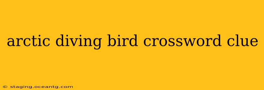 arctic diving bird crossword clue