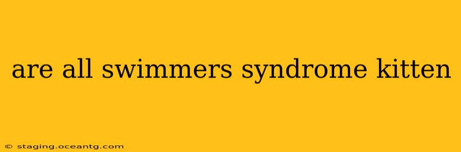 are all swimmers syndrome kitten