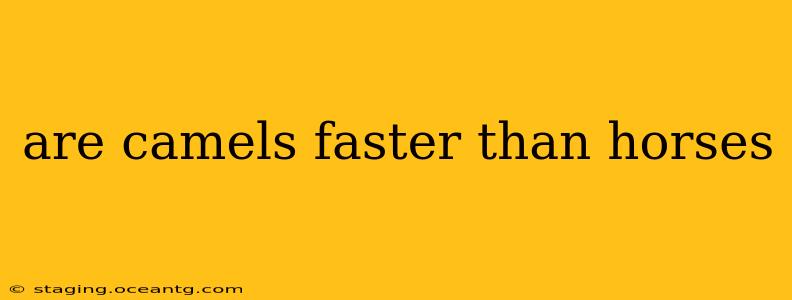 are camels faster than horses