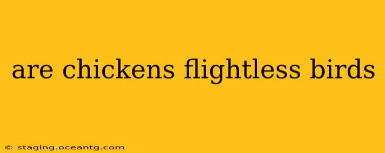 are chickens flightless birds