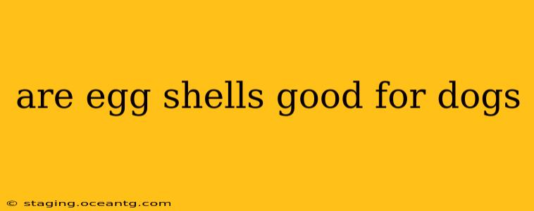 are egg shells good for dogs
