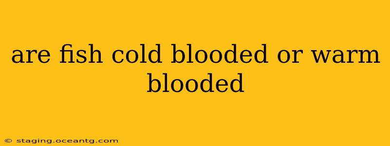 are fish cold blooded or warm blooded