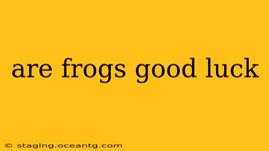 are frogs good luck