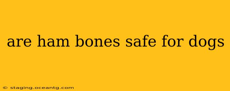 are ham bones safe for dogs