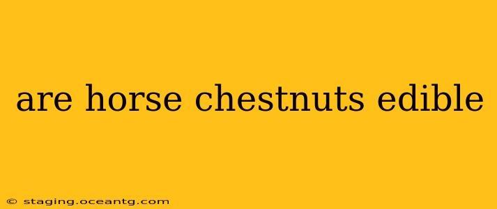 are horse chestnuts edible