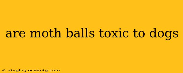 are moth balls toxic to dogs