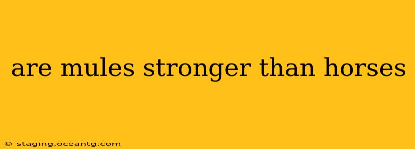 are mules stronger than horses